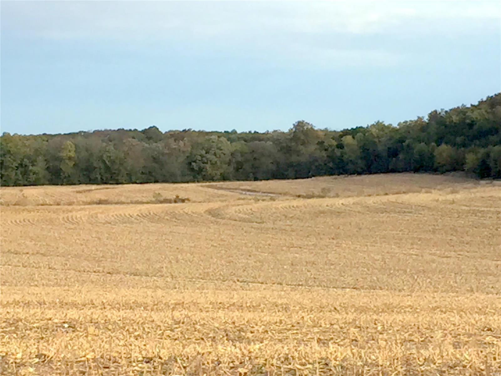 none - Farm
