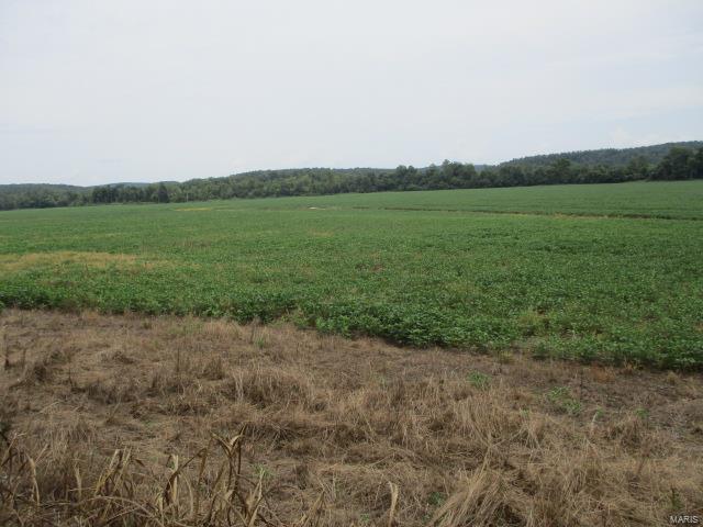 No - Farm