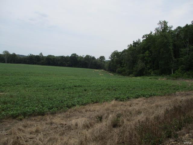 No - Farm