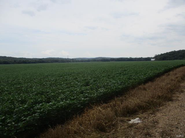 No - Farm