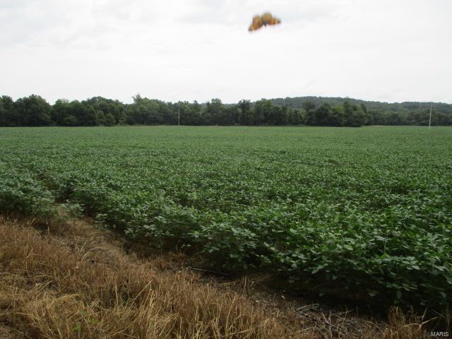 What a Unique opportunity with this Castor River Farm.   Over 1,500 Acres all together in one piece of land.  Hard to find this large of tract of land anymore.  Approx.  1 Mile  of Castor River Frontage with County Road & electric thru  the property .  Approx.  700 Acres M/L in Row Crop production at the present time.  Balance is a Hunters paradise of mixed large & small timber.  Property also has a 3 Bd. 1.5 Bath  Ranch style home  with several outbuildings .  The Row Crop income ia a large bonus for this recreational property.  Property joins Twin Bridges  Camp ground and is easily be connected to your very own Camping  & Rv  Campground.  If you or a group organization are looking for that 1 place that offers it all, this could be your opportunity.  call Agent for more details.