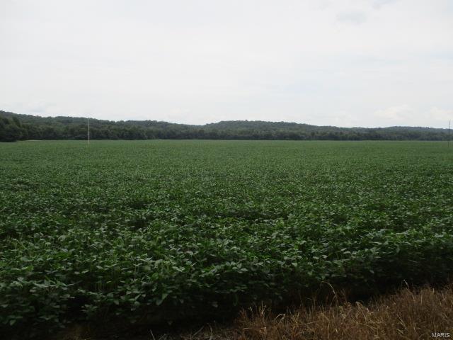 No - Farm