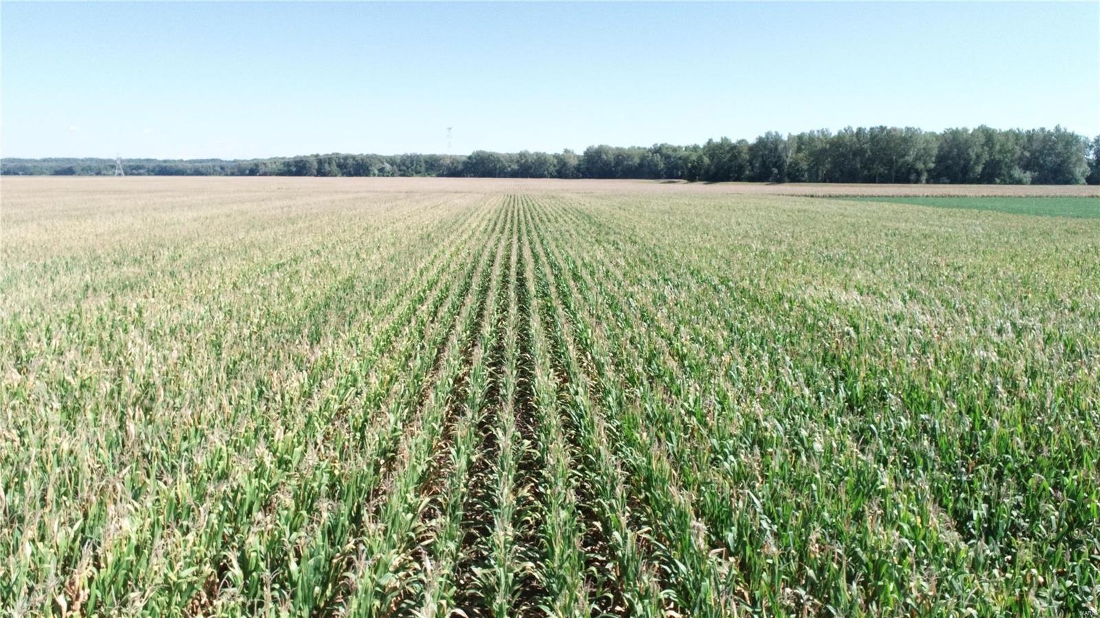 - - Farm