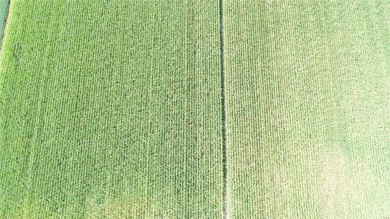 - - Farm