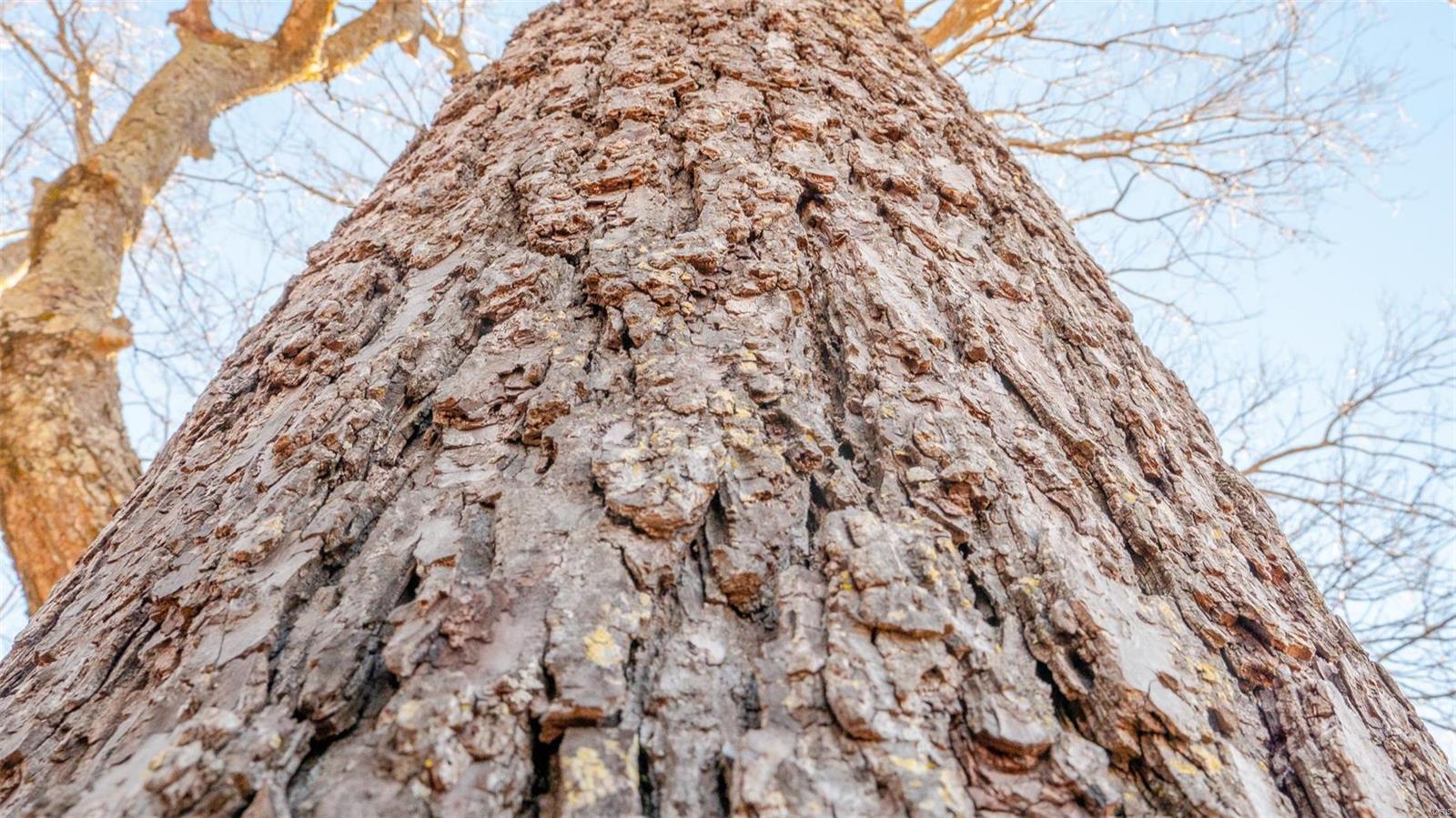 na - Farm