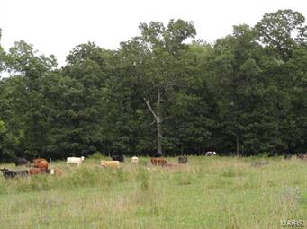 N/A - Farm