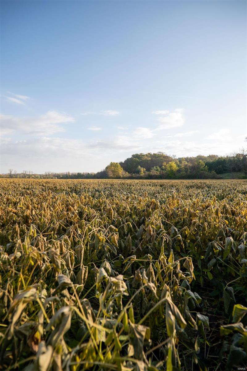 N/A - Farm
