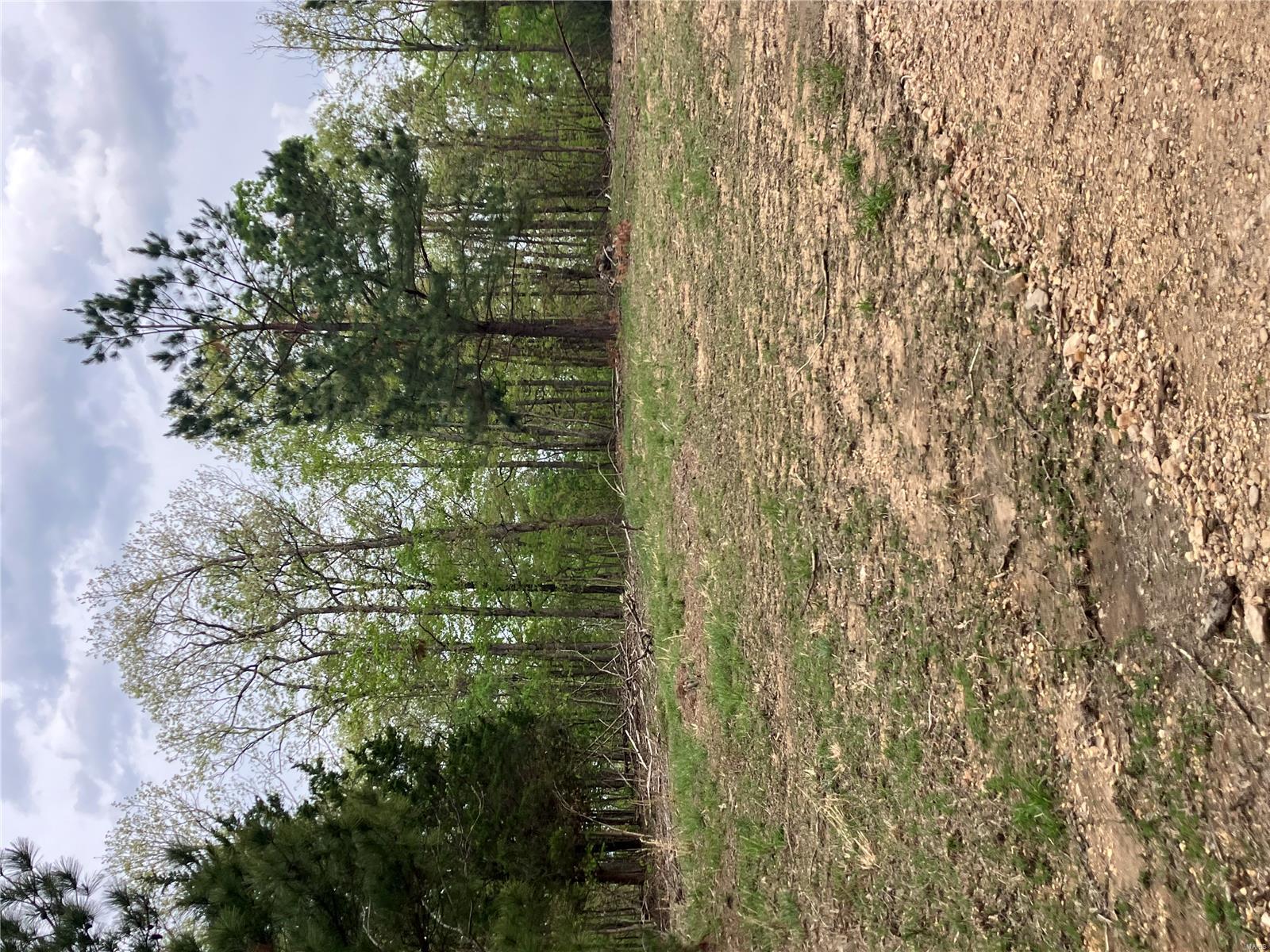 Wooded rural acreage with access to a shared spring-fed stream and within a mile of Mark Twain National Forest ... it doesn't get much better. It's a landowner's dream come true. 
This affordable Ozark oasis comes with NO restrictions. And there's a nice wide deeded easement gravel road leading from the county road to your property.
Hunt, camp, build, ride ATVs on your own land, or fish or play in the shared creek section. The opportunities are endless.
This property is wooded and rolling. You are within a mile of the 22,176-acre Mark Twain National Forest ... public ground where you can also hunt, ride and explore. All this, and only about 2 miles by road from U.S. 67 for quick and easy access.
Use this great 64 acres as a base camp for adventure. This and surrounding land is teeming with deer, turkey and small game, and the occasional feral hog or maybe a black bear. 
Ownership comes with access to a 3-acre shared stretch of the magnificent 12 Mile Creek and gravel bar.
