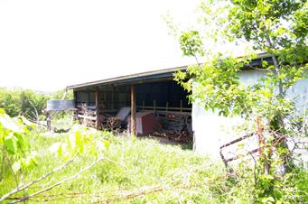 Brennan - Farm