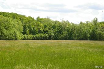 Brennan - Farm