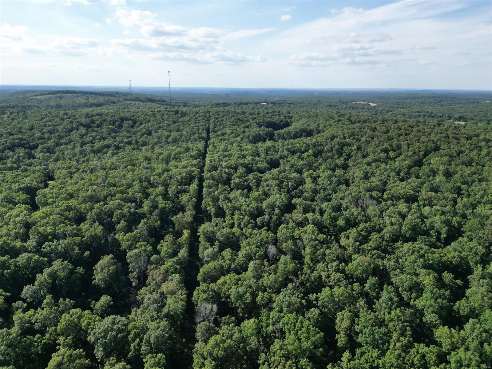 Great location! In between Farmington & Festus. 250 acres m/l all wooded  with creek running through it. Very private.