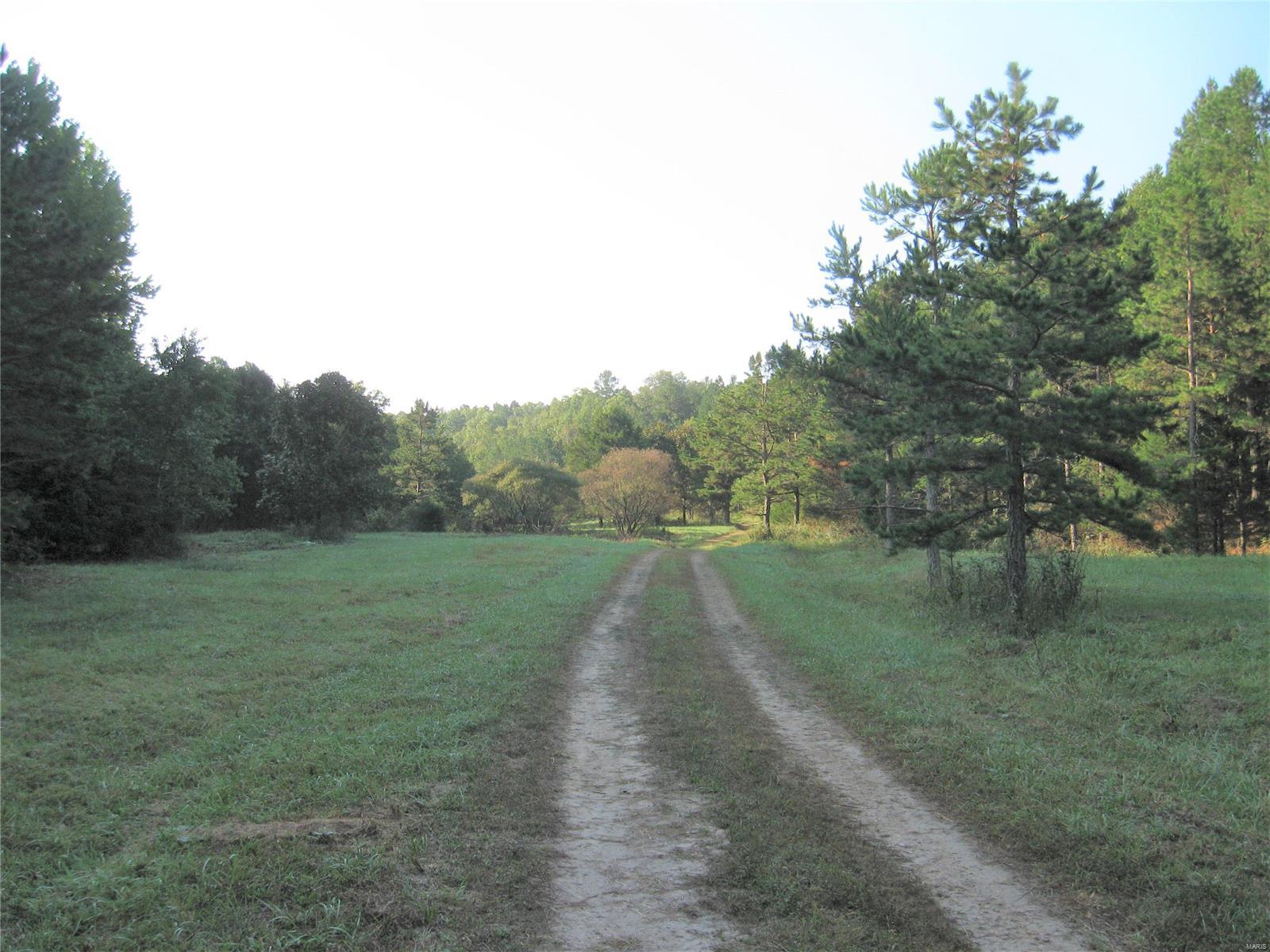 Rural - Farm