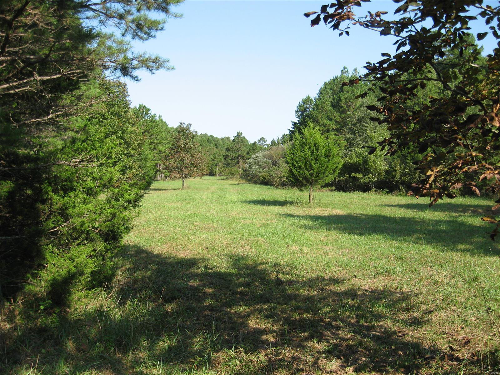Rural - Farm