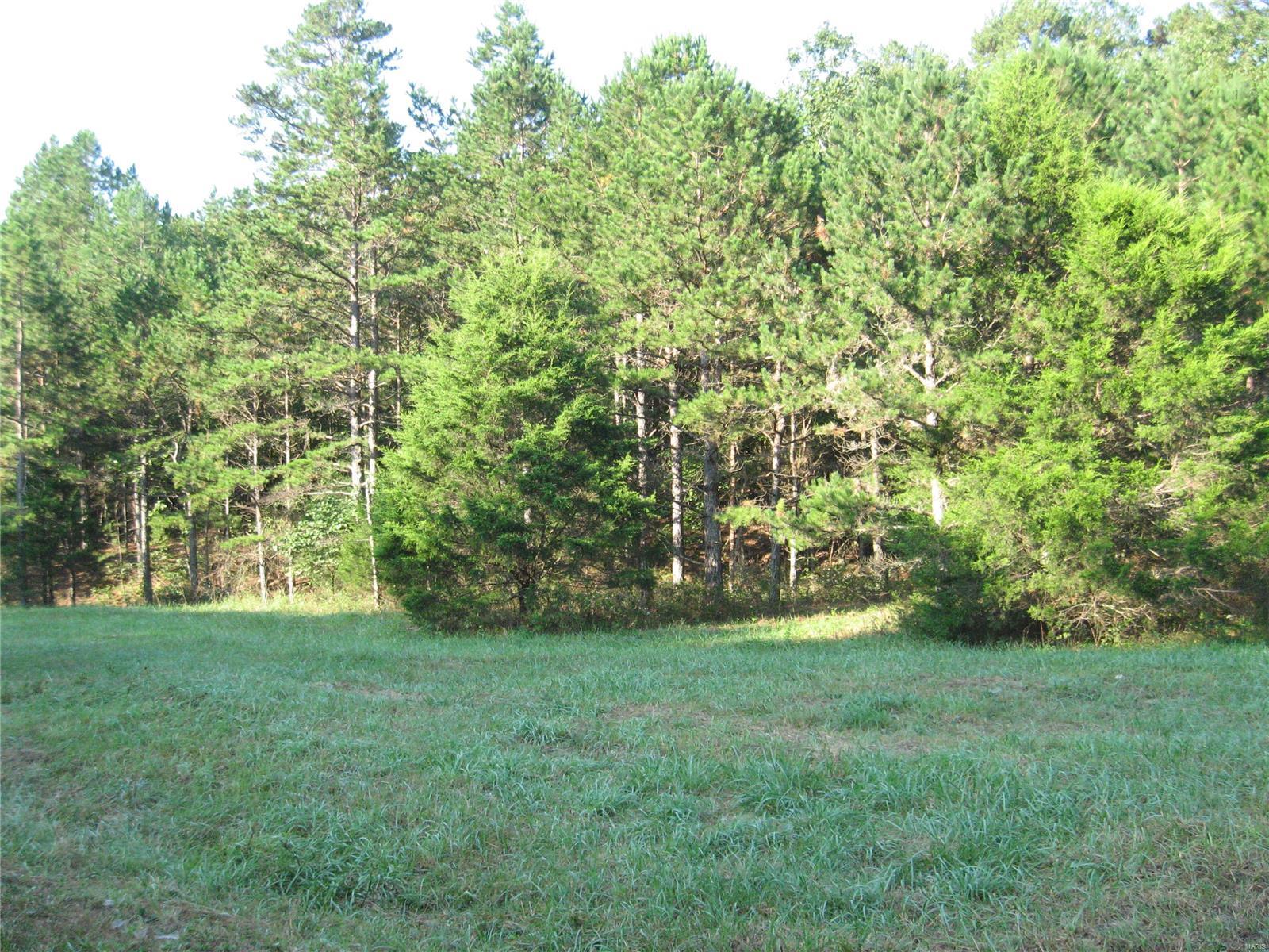 Rural - Farm