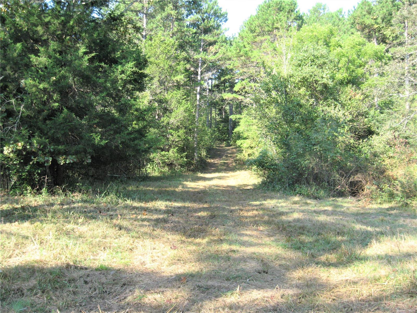 Rural - Farm