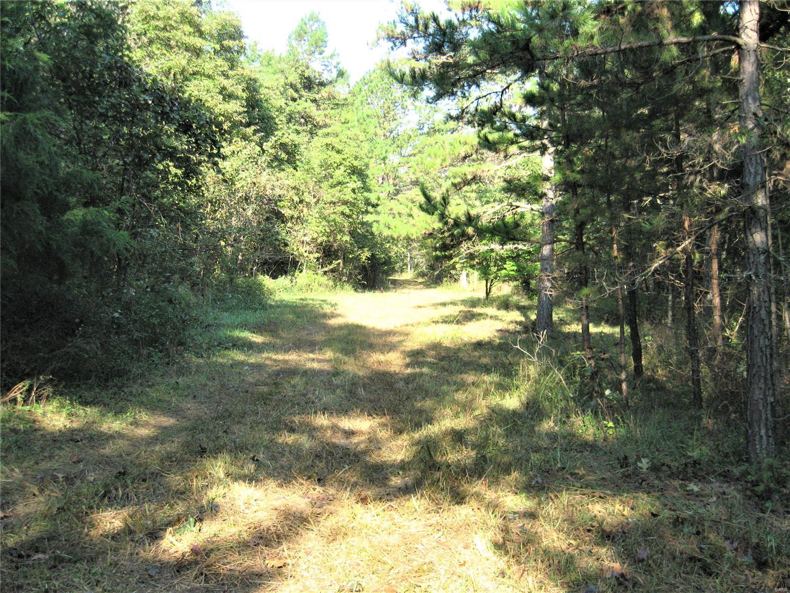 Rural - Farm