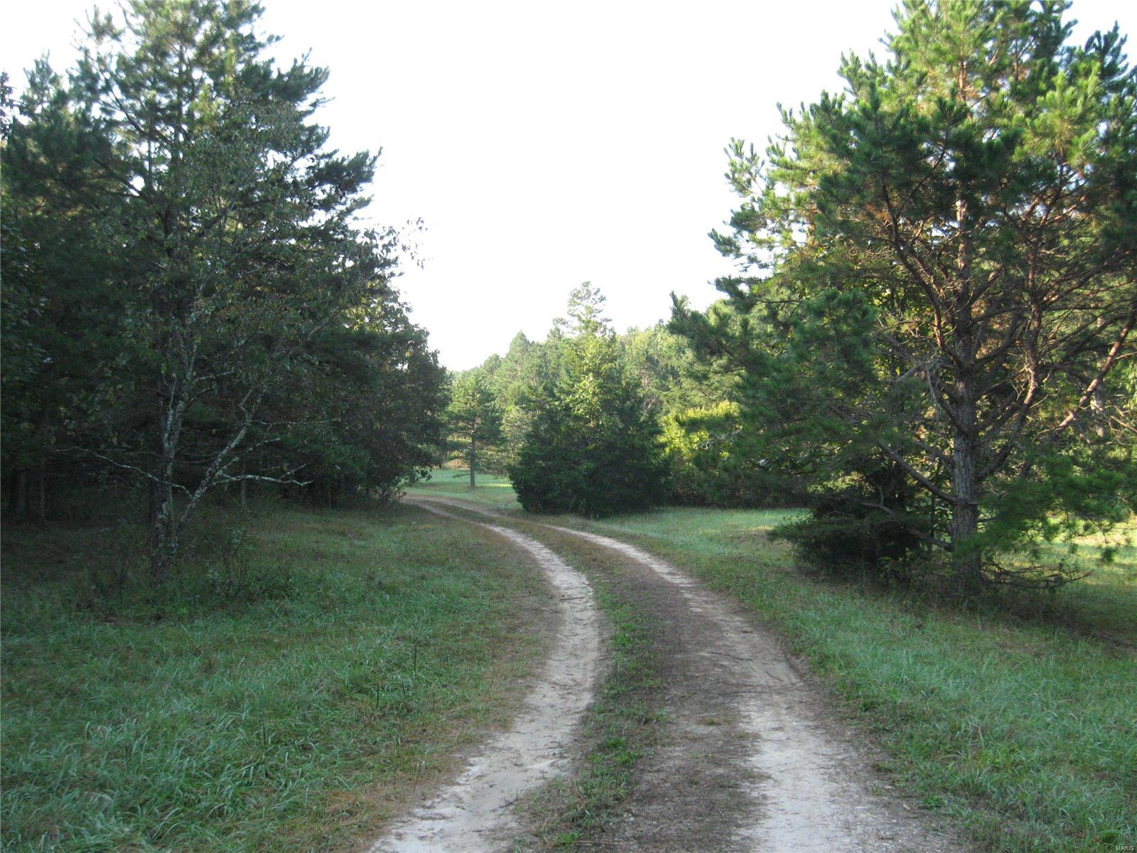 Rural - Farm