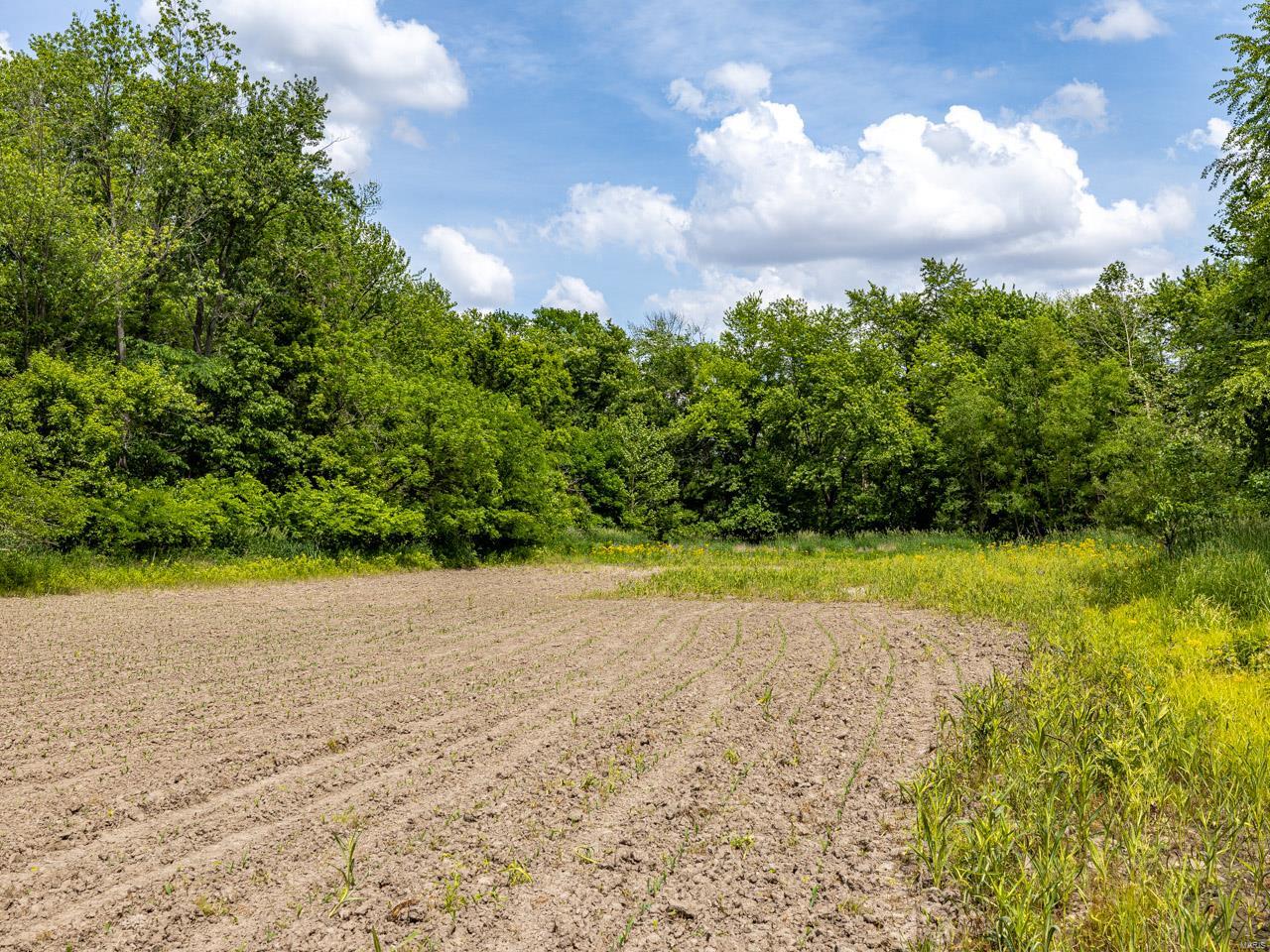 other - Farm