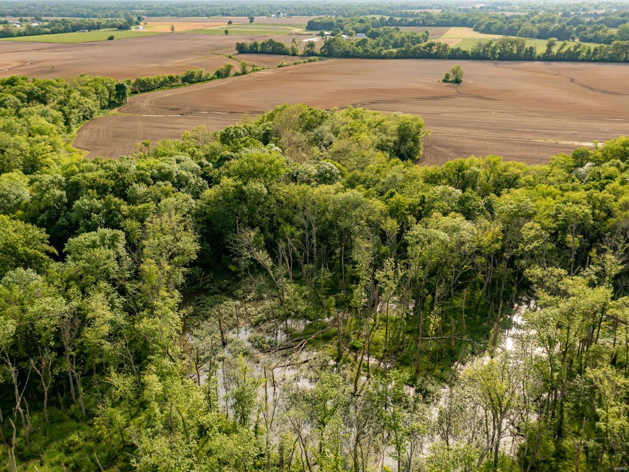 Income, deer, ducks, and turkeys! This 175-acre farm in Madison County, IL, consists of a combination of 128 tillable acres and 47 timber acres, excellent for hunting. If you are looking to expand your current farming operation or maybe add a great income-producing property to your portfolio while enjoying fantastic recreational opportunities, then you'll be happy to take a look at this piece. The farm is located just outside of Troy, IL, and only a short distance from St. Louise, MO. The 128 tillable acres are being share-cropped; and the production index is 116.6. This farm has good drainage, but the bottom ground is susceptible to flooding, making for great waterfowl hunting. If you are looking for a solid investment with great recreational opportunities, then call Don Faller today to schedule your showing!