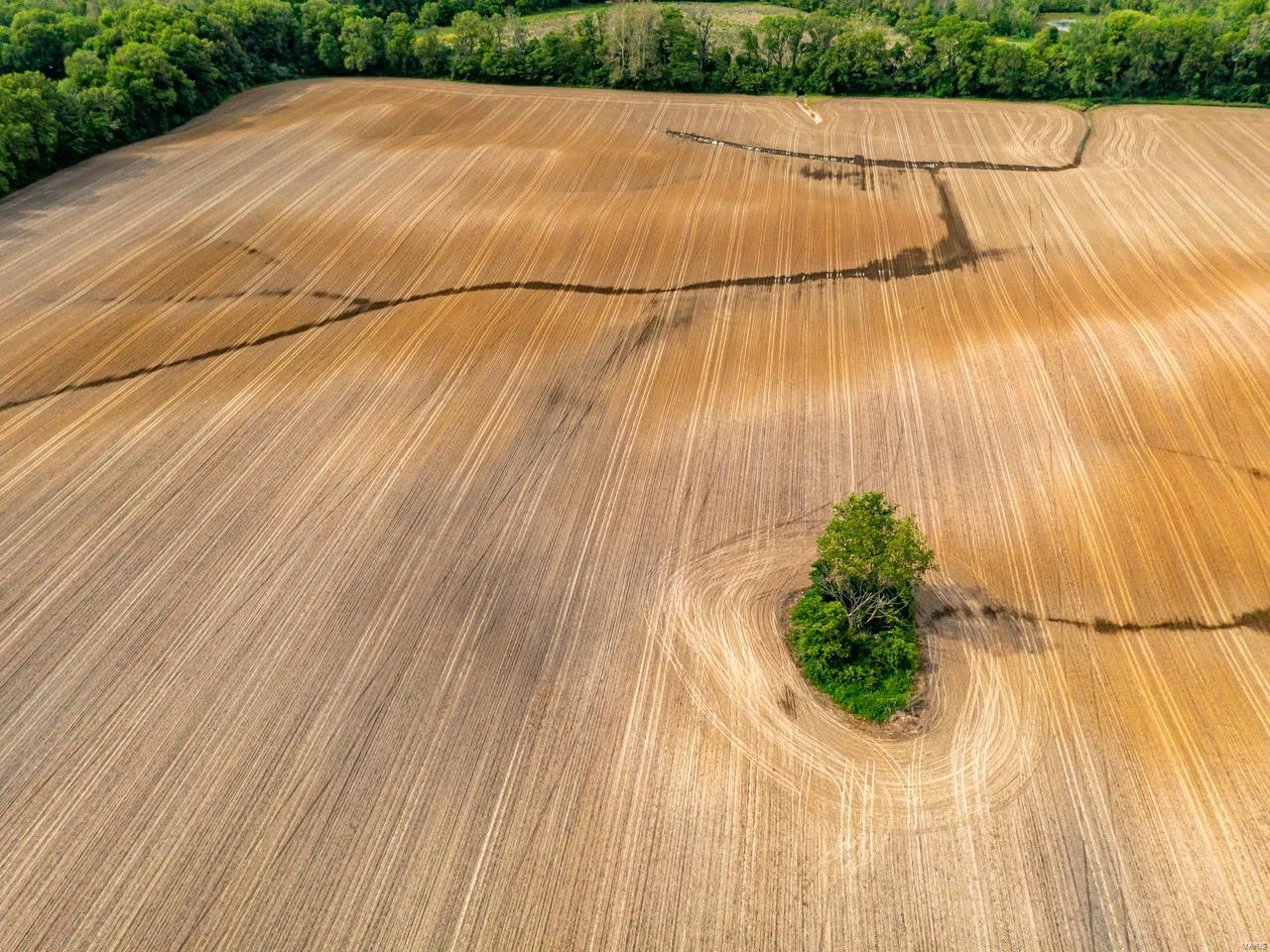 other - Farm