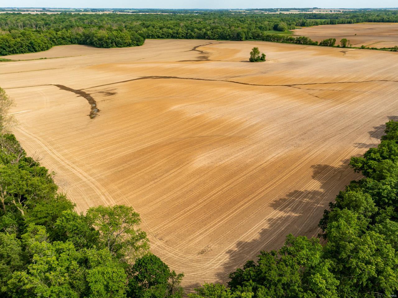 other - Farm