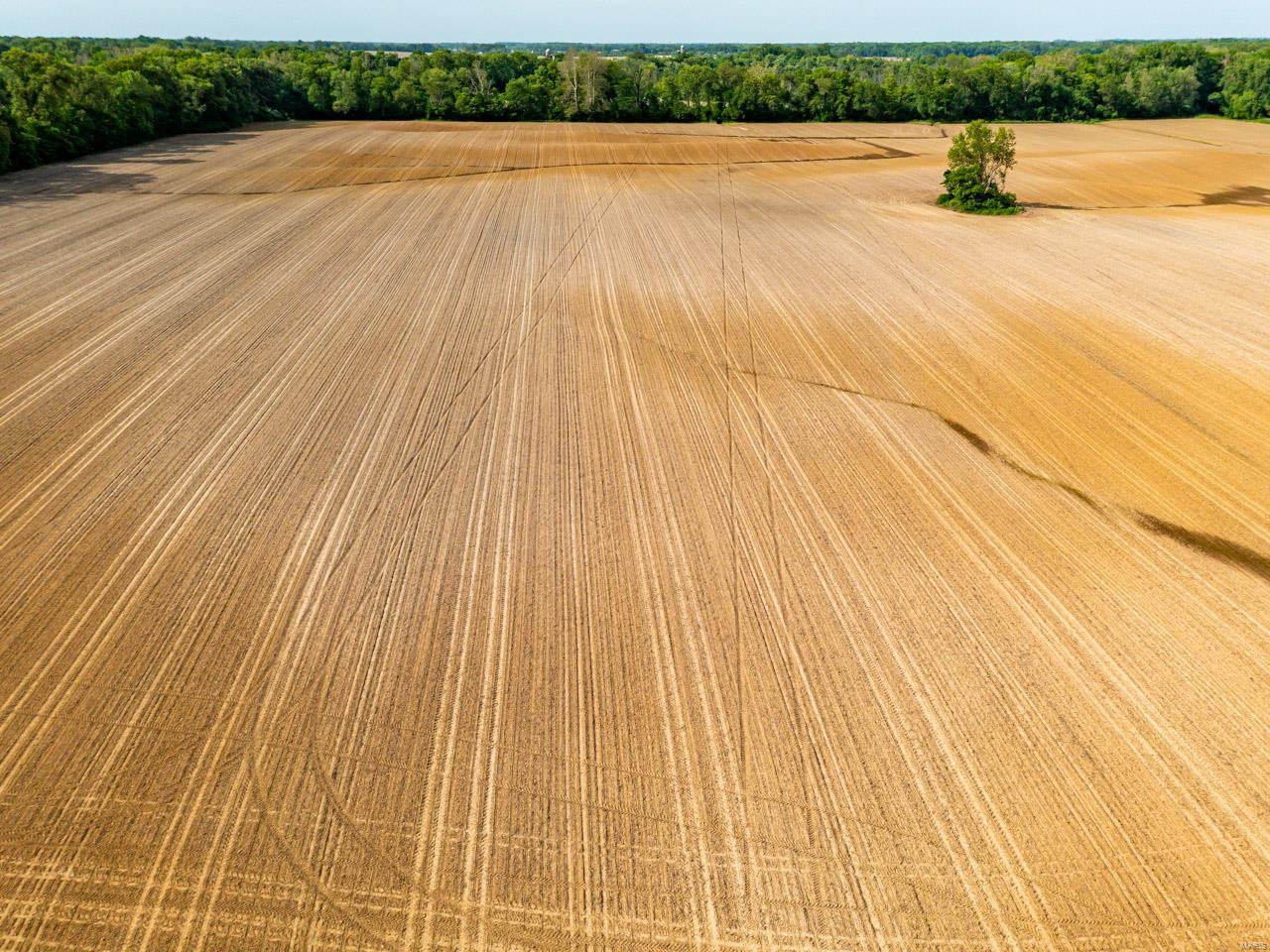 other - Farm