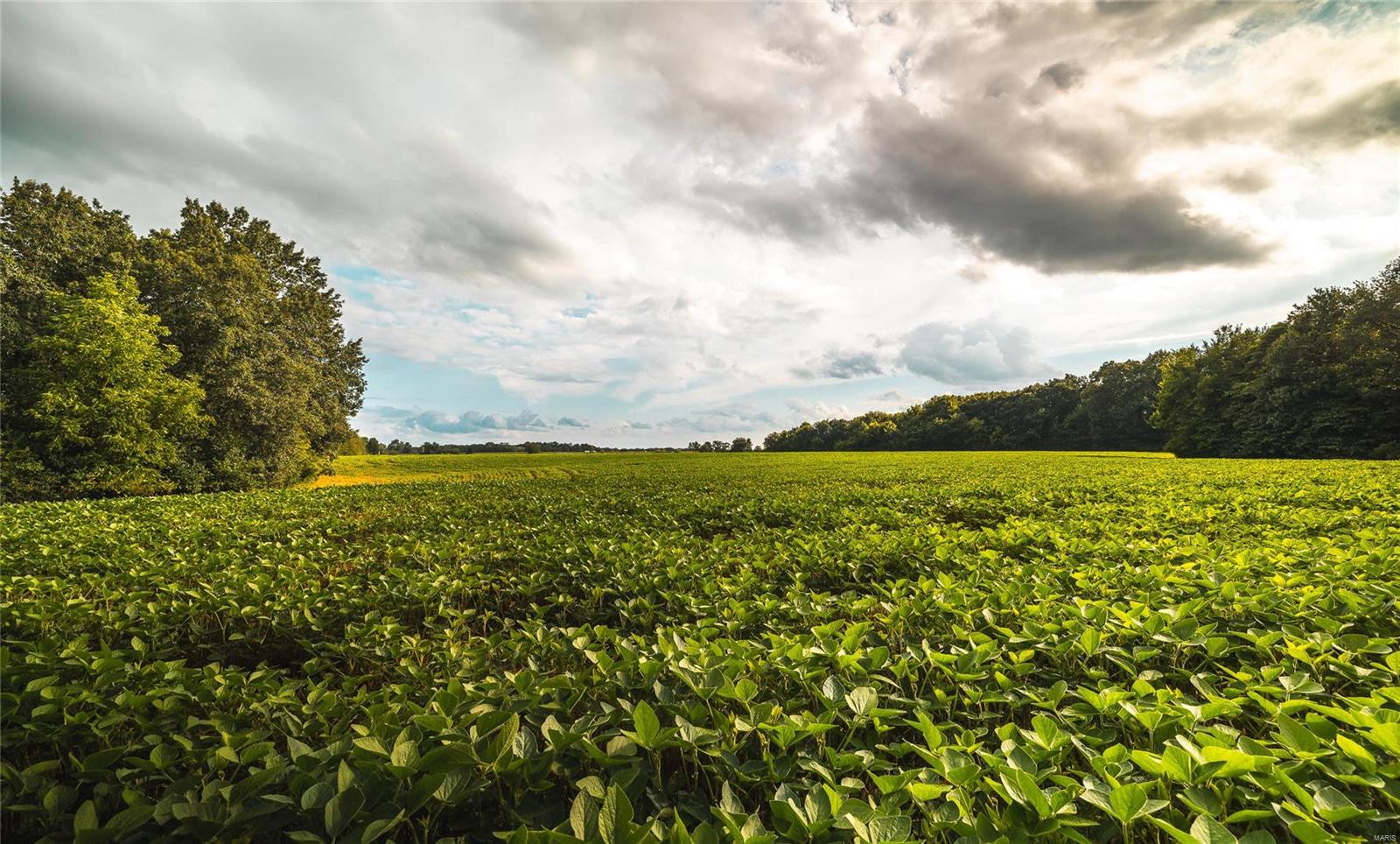 Not in a subdivision - Farm