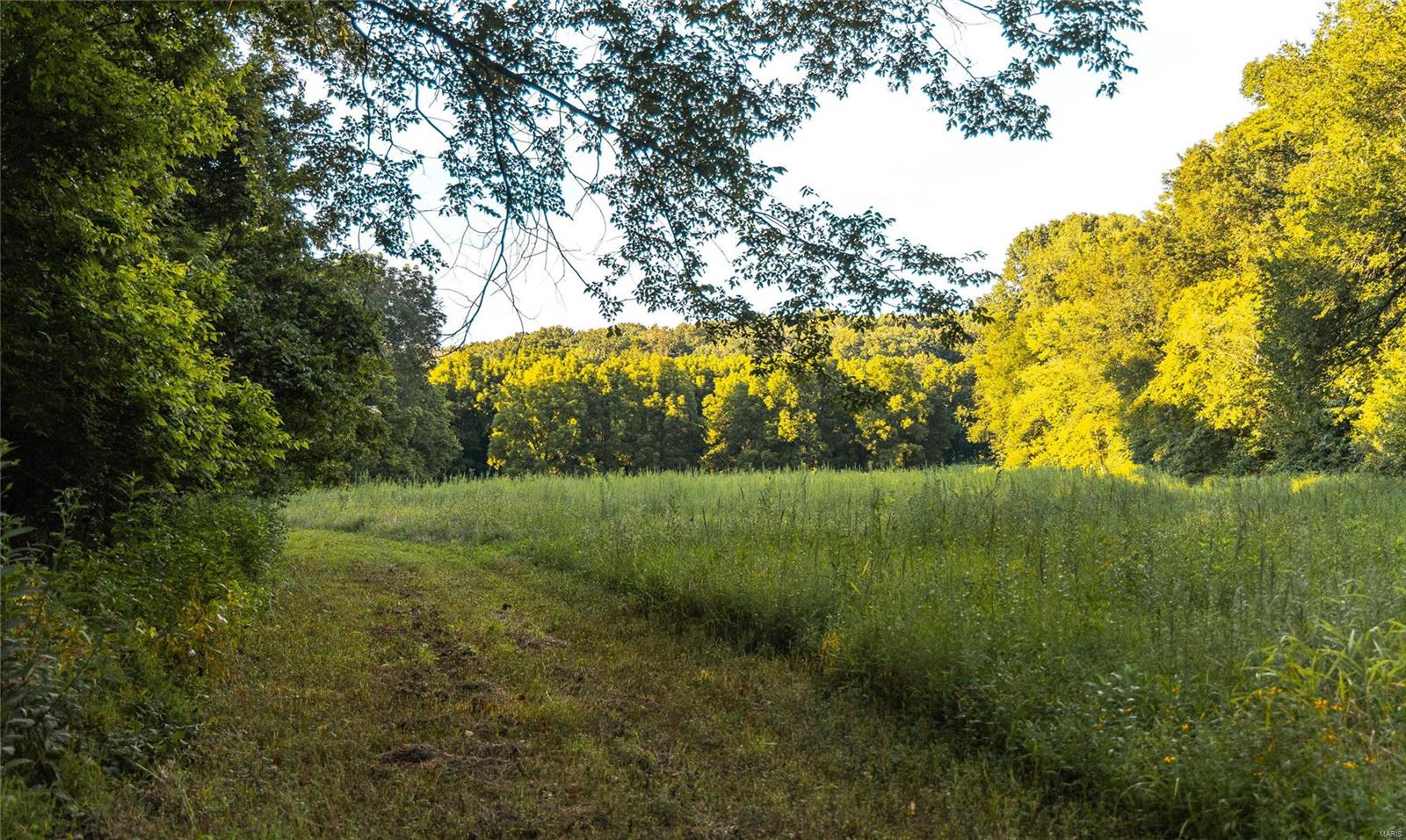 Not in a subdivision - Farm