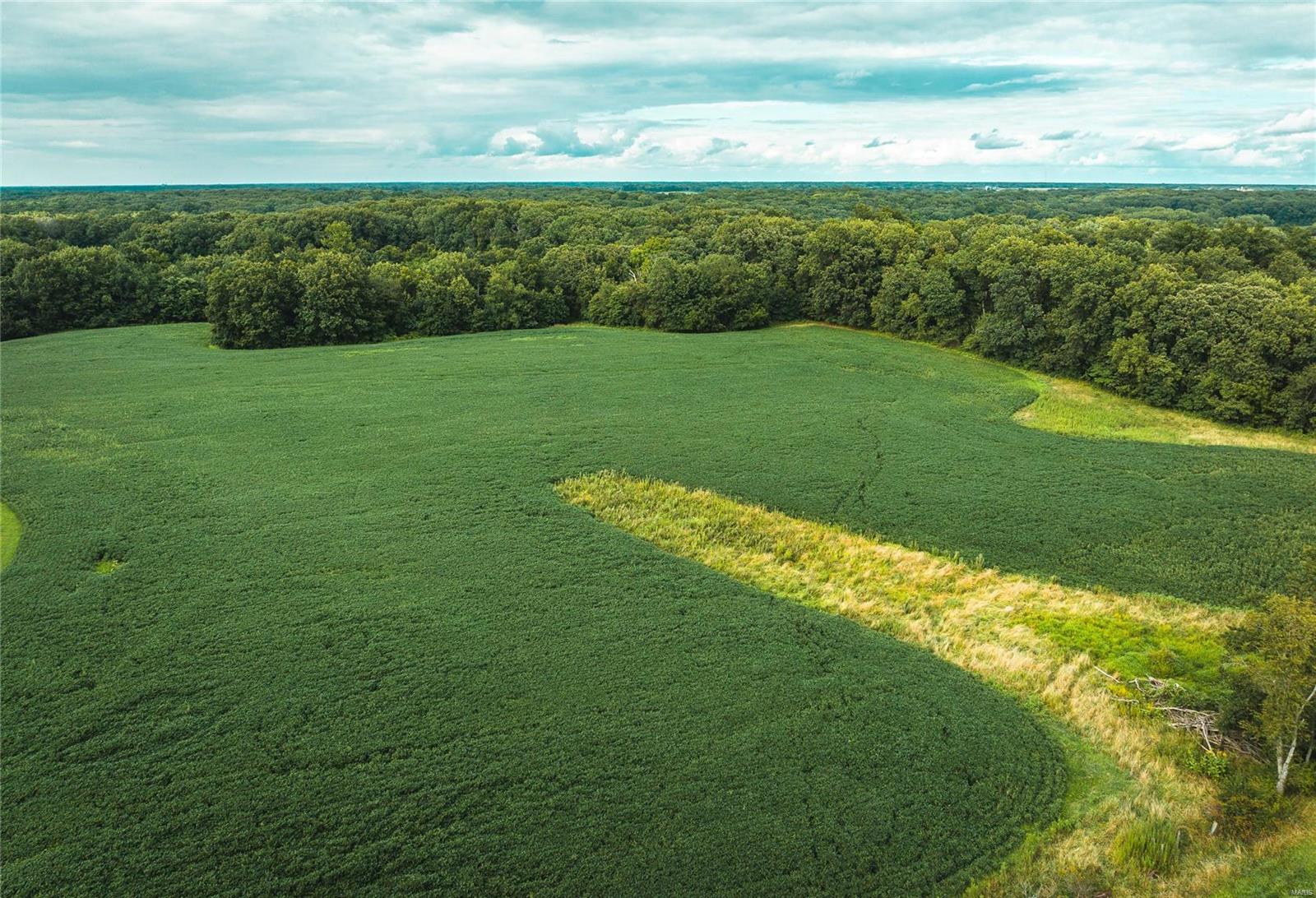 Not in a subdivision - Farm