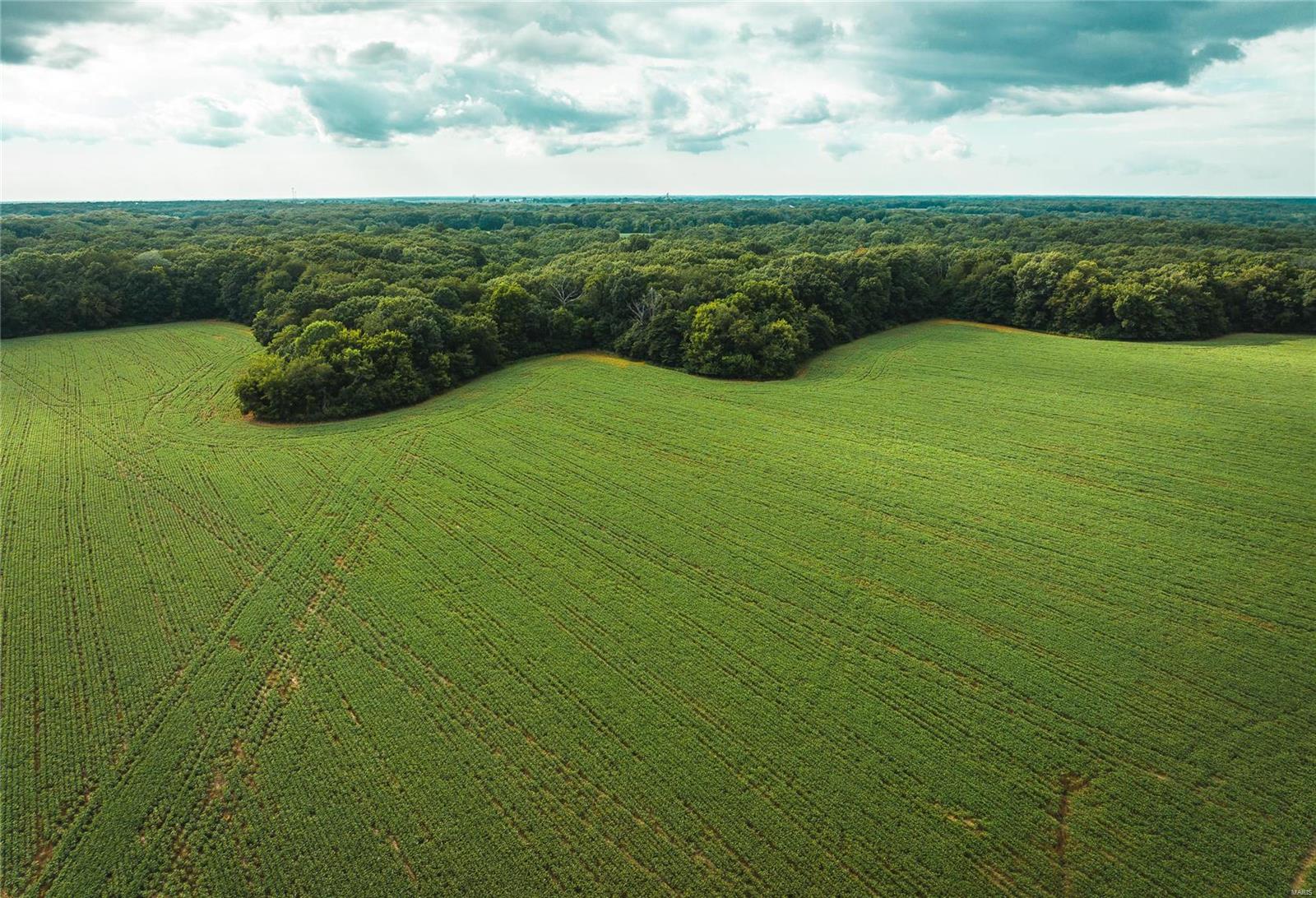 Not in a subdivision - Farm