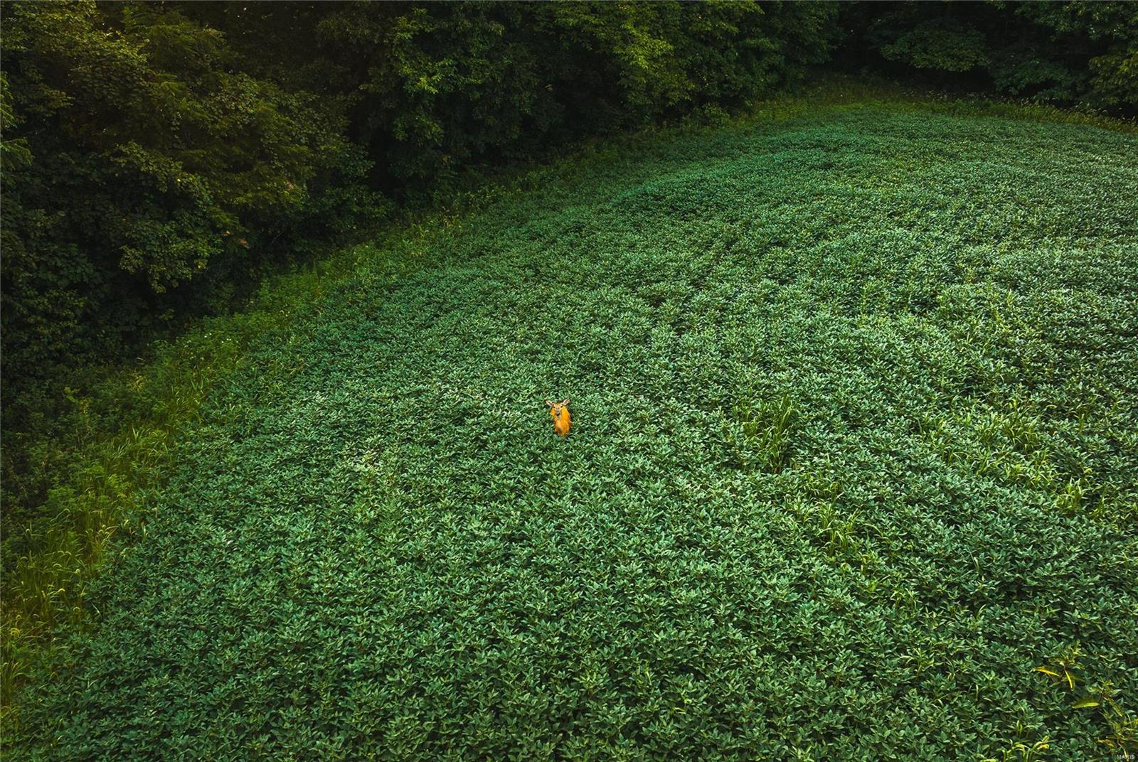 Not in a subdivision - Farm