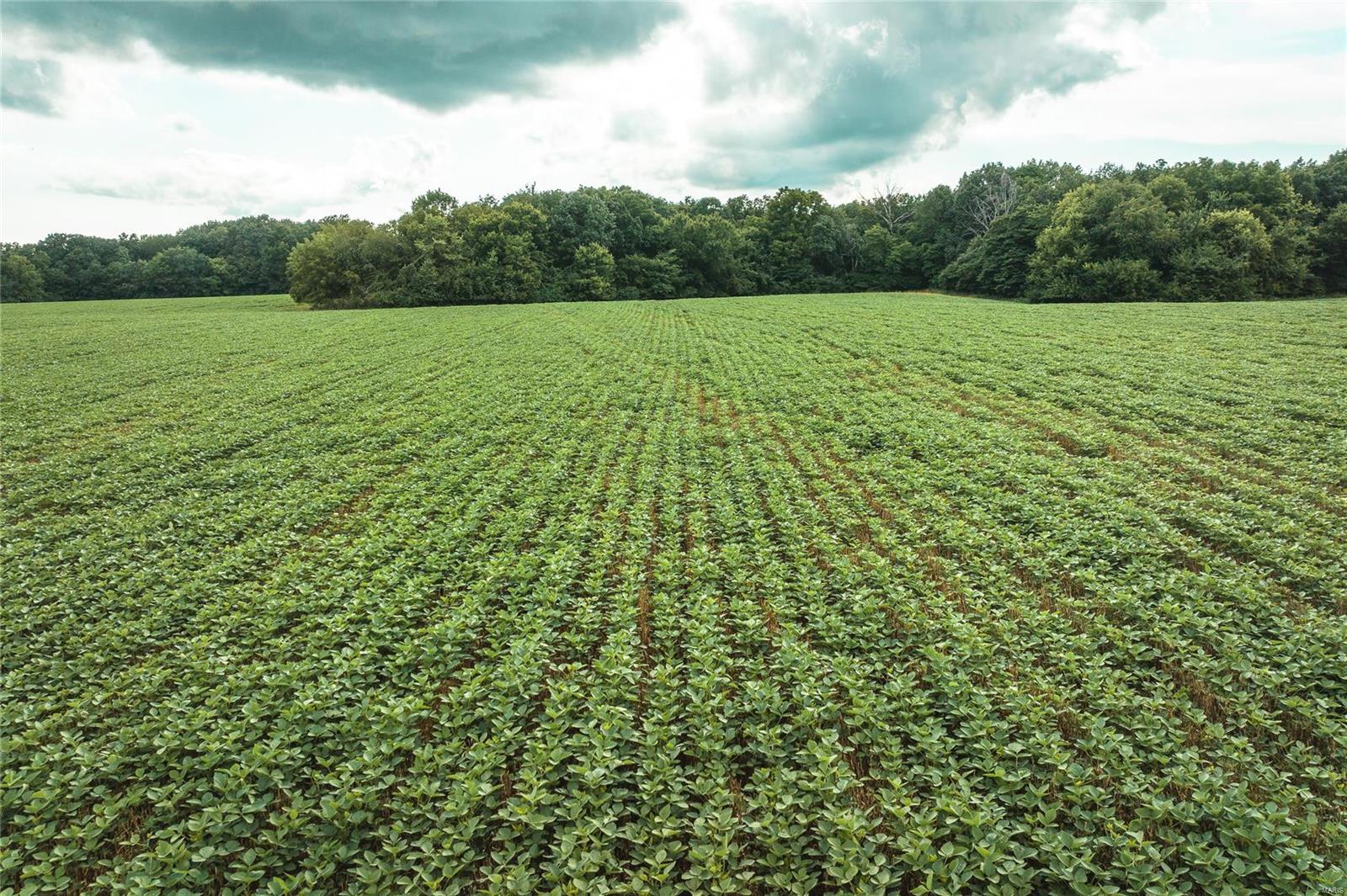 Not in a subdivision - Farm