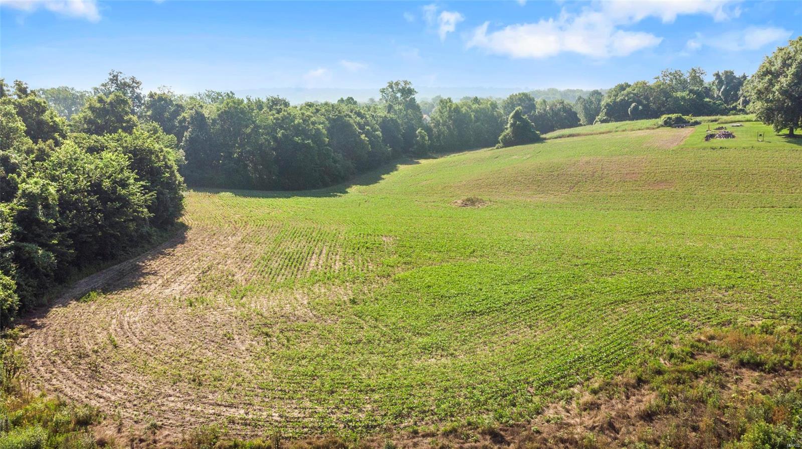 Minor Sub - Land