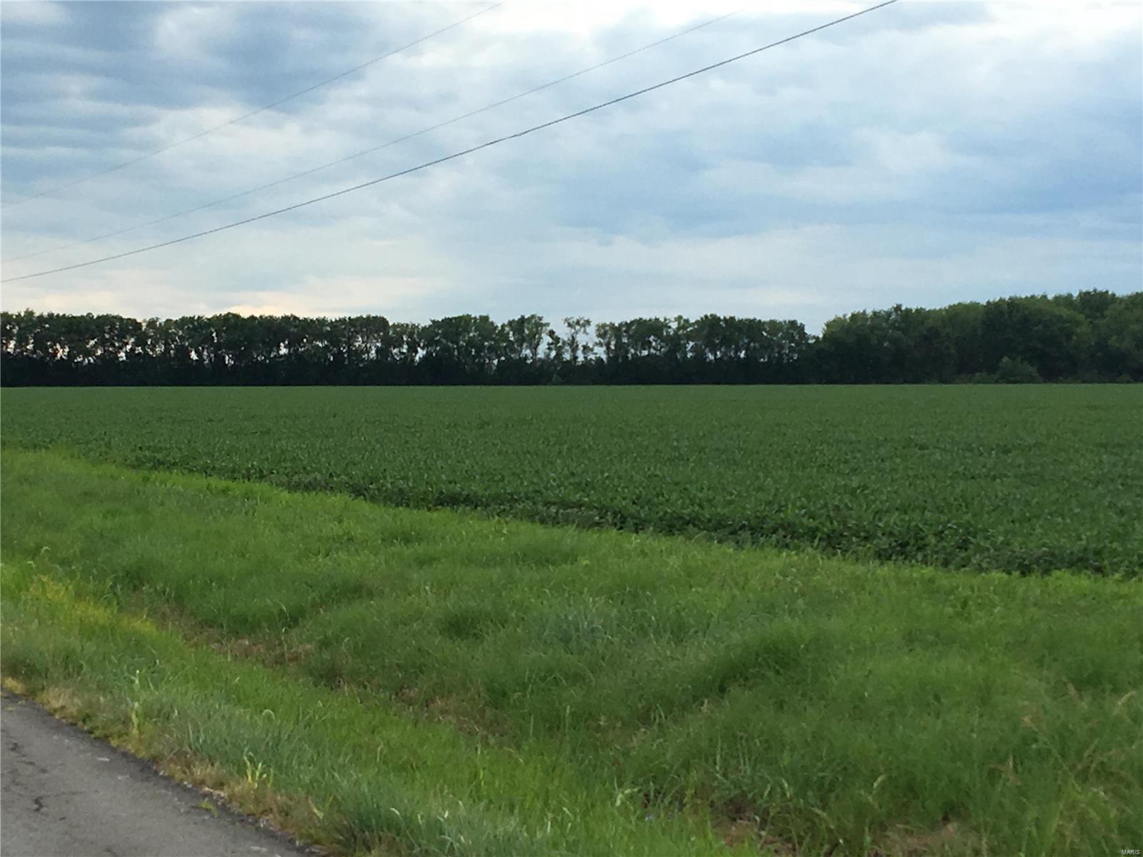 N/A - Farm