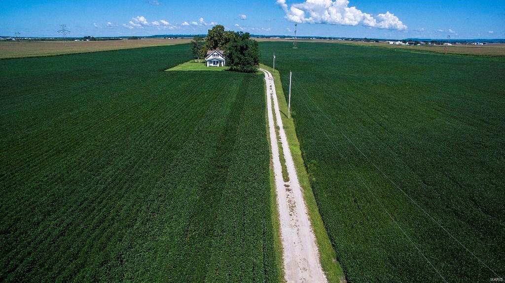 None - Farm