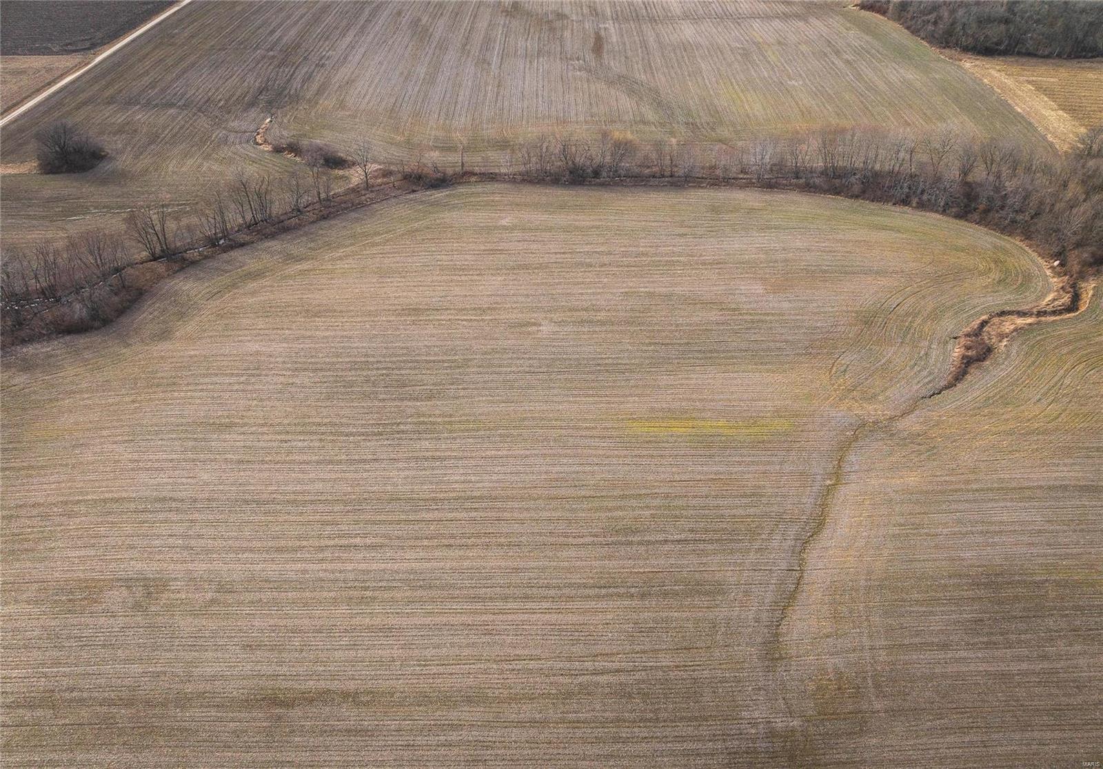 None - Farm