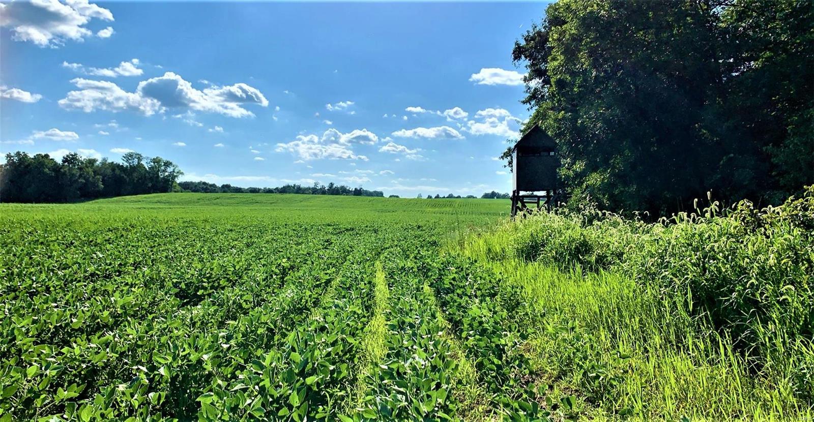 N/A - Farm