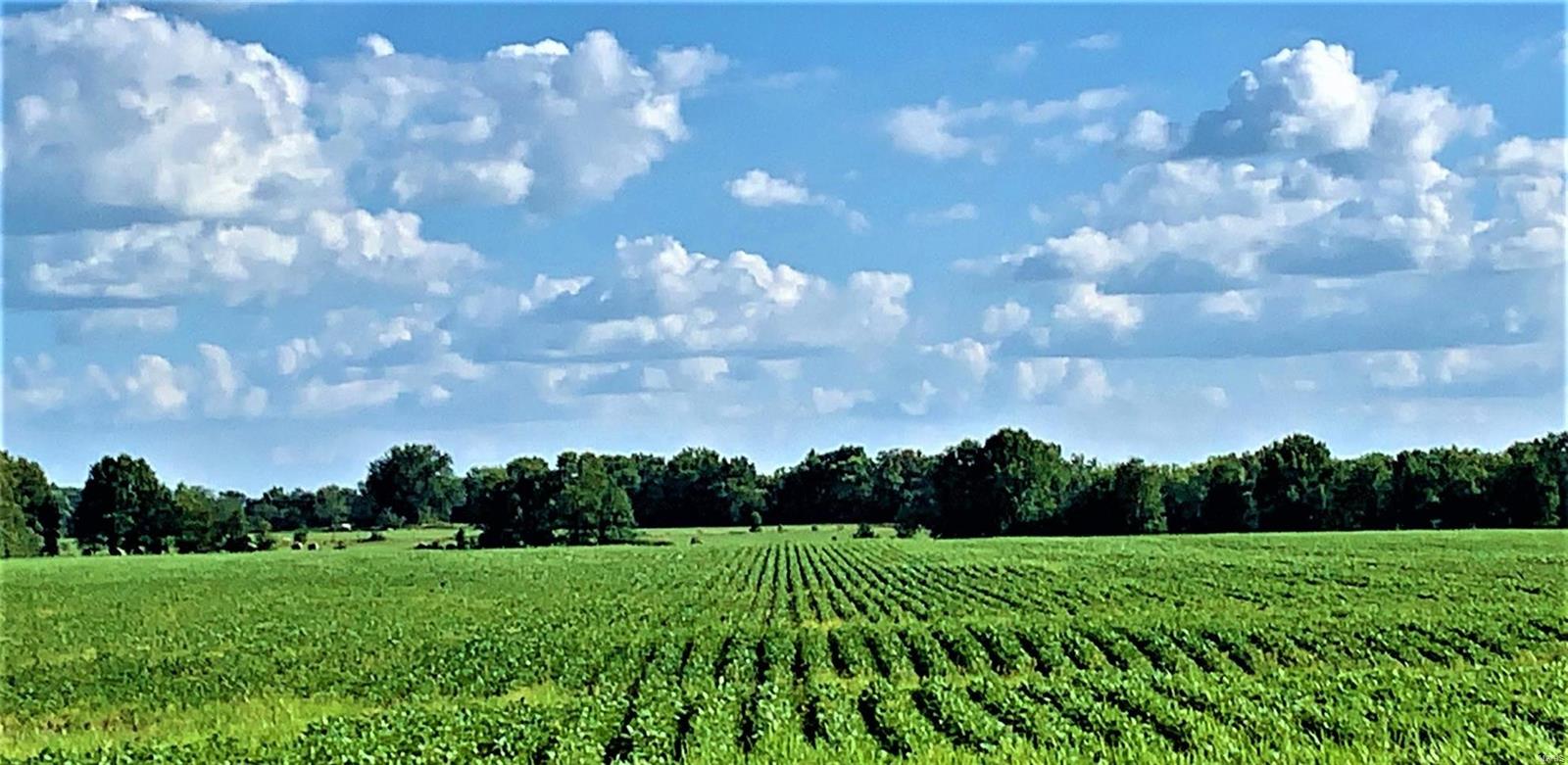 140 acres tillable paying $225/ac cash rent. Remainder woods. $4100/year hunting lease. Frontage along Flat Creek. 
Secluded bottom field offers many daytime opportunities for harvesting whitetails and turkey. Blacktop frontage along Hwy. 151.