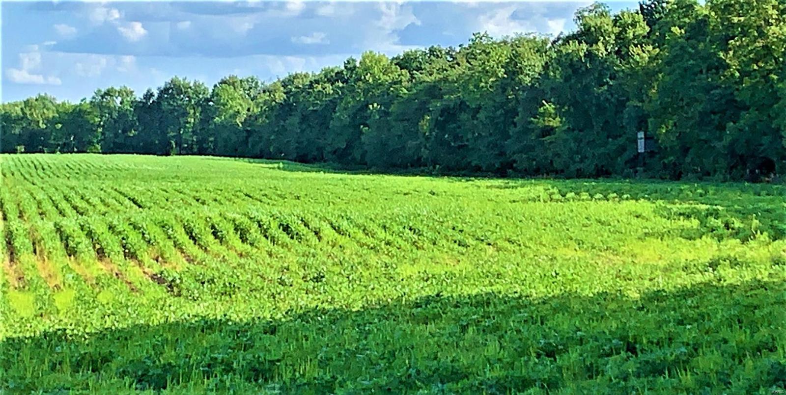 N/A - Farm