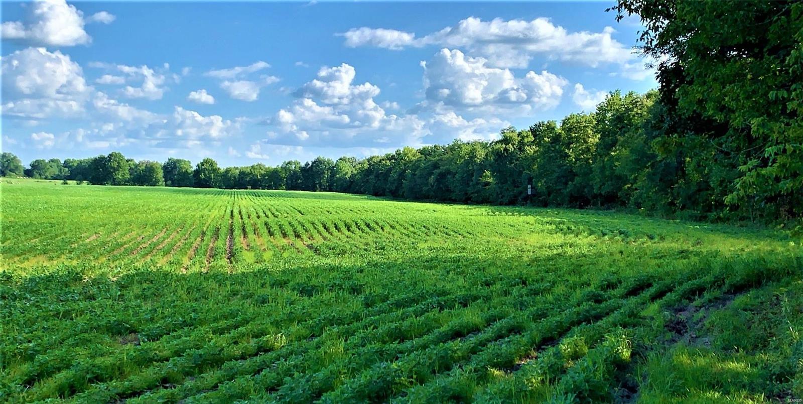 N/A - Farm