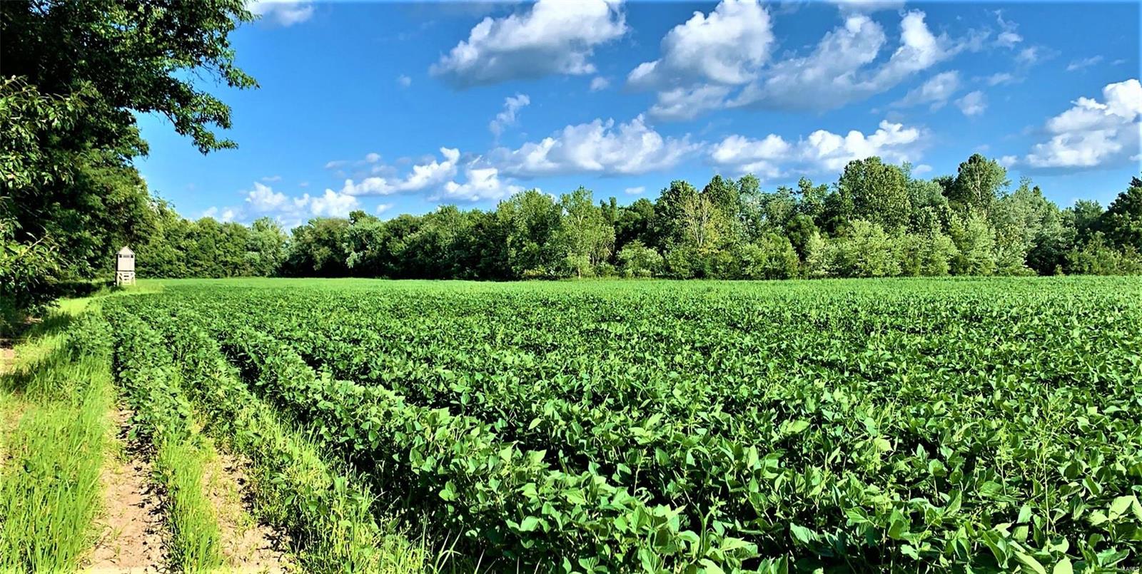 N/A - Farm