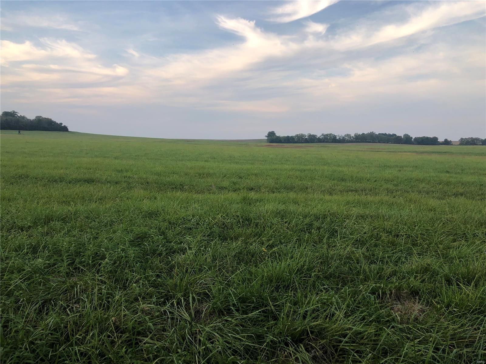 none - Farm