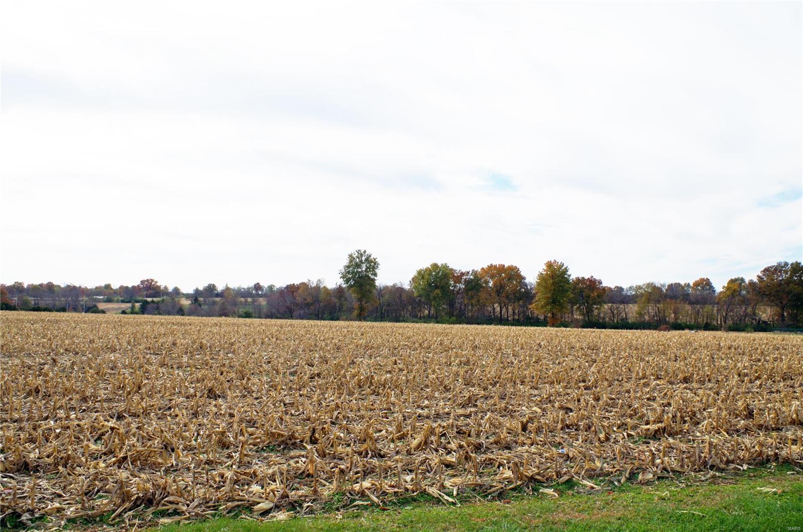 Adjacent to the city limits of Troy, Missouri lies this 75 acre tract. The acreage consists of 55 tillable acres and 20 acres of woods and waterways. Set on the property is a machine shed, barn, and old milking barn. There is ½ mile of Mennemeyer Rd Frontage and access to West Meyer Rd. This property is ideal for high density to large tract residential development.