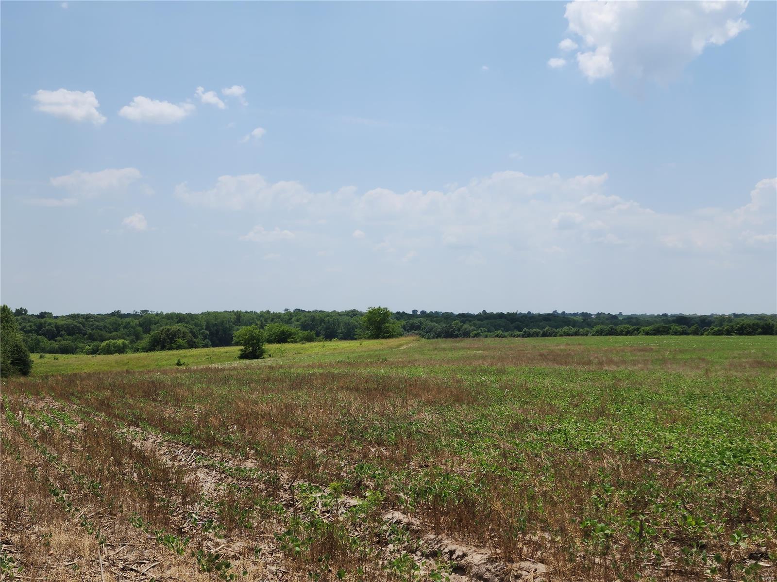 N/a - Farm