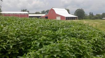 na - Farm