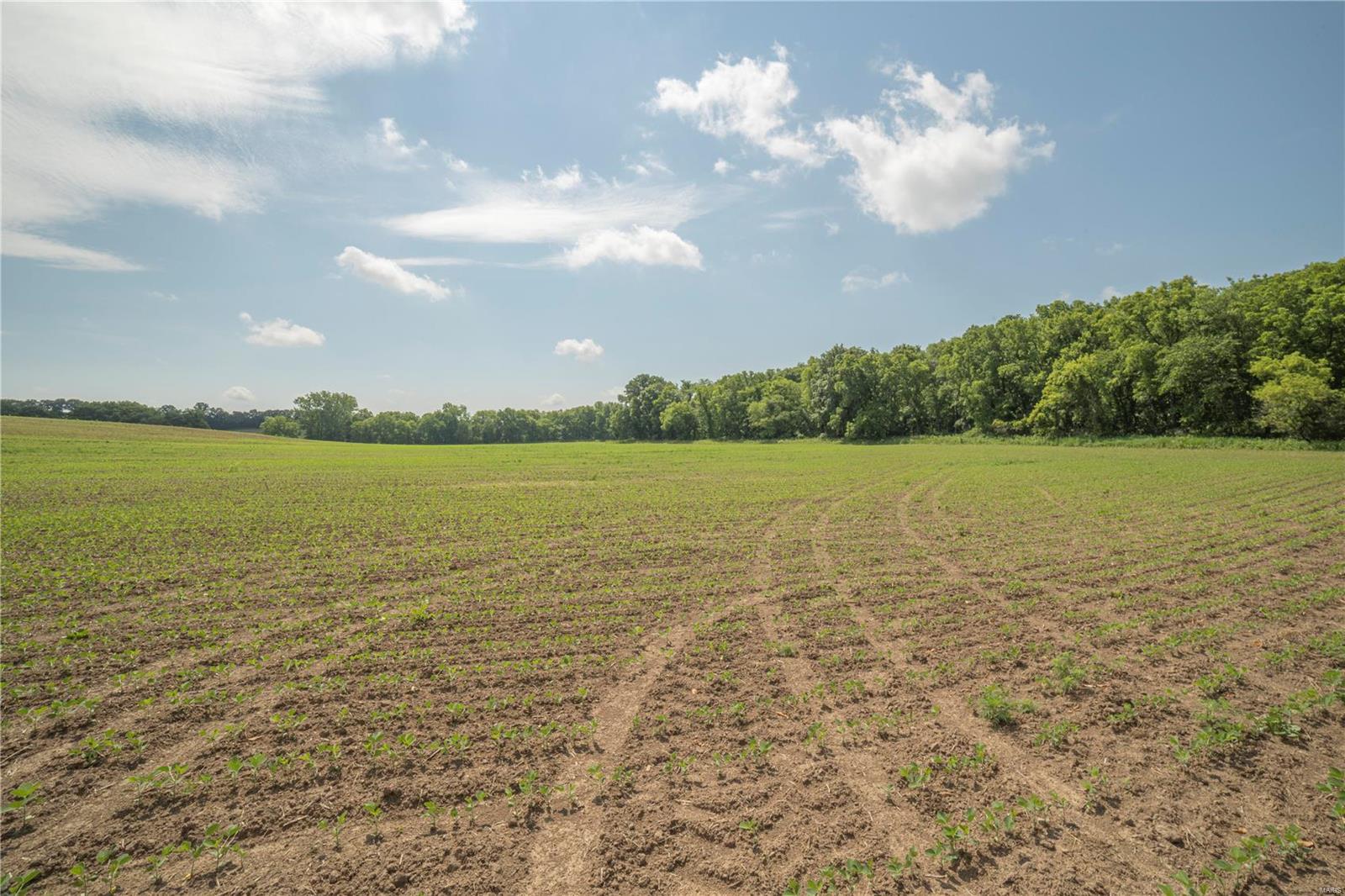 N.a - Farm