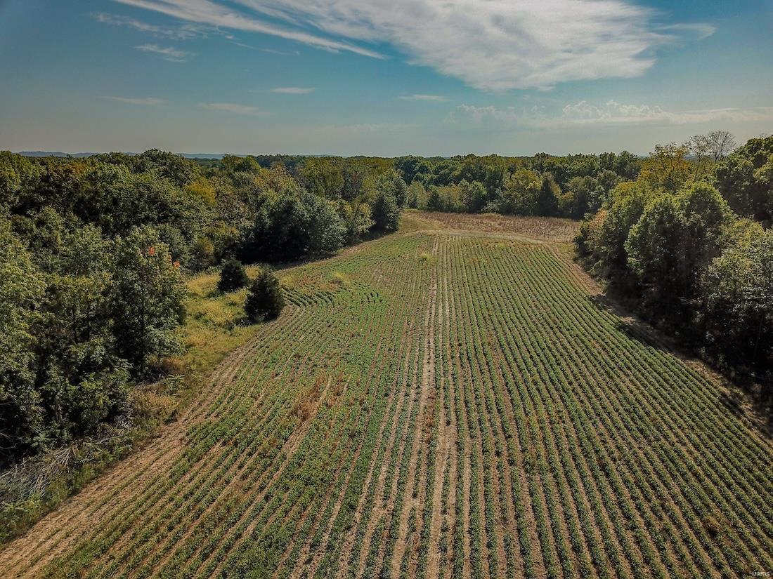 none - Farm