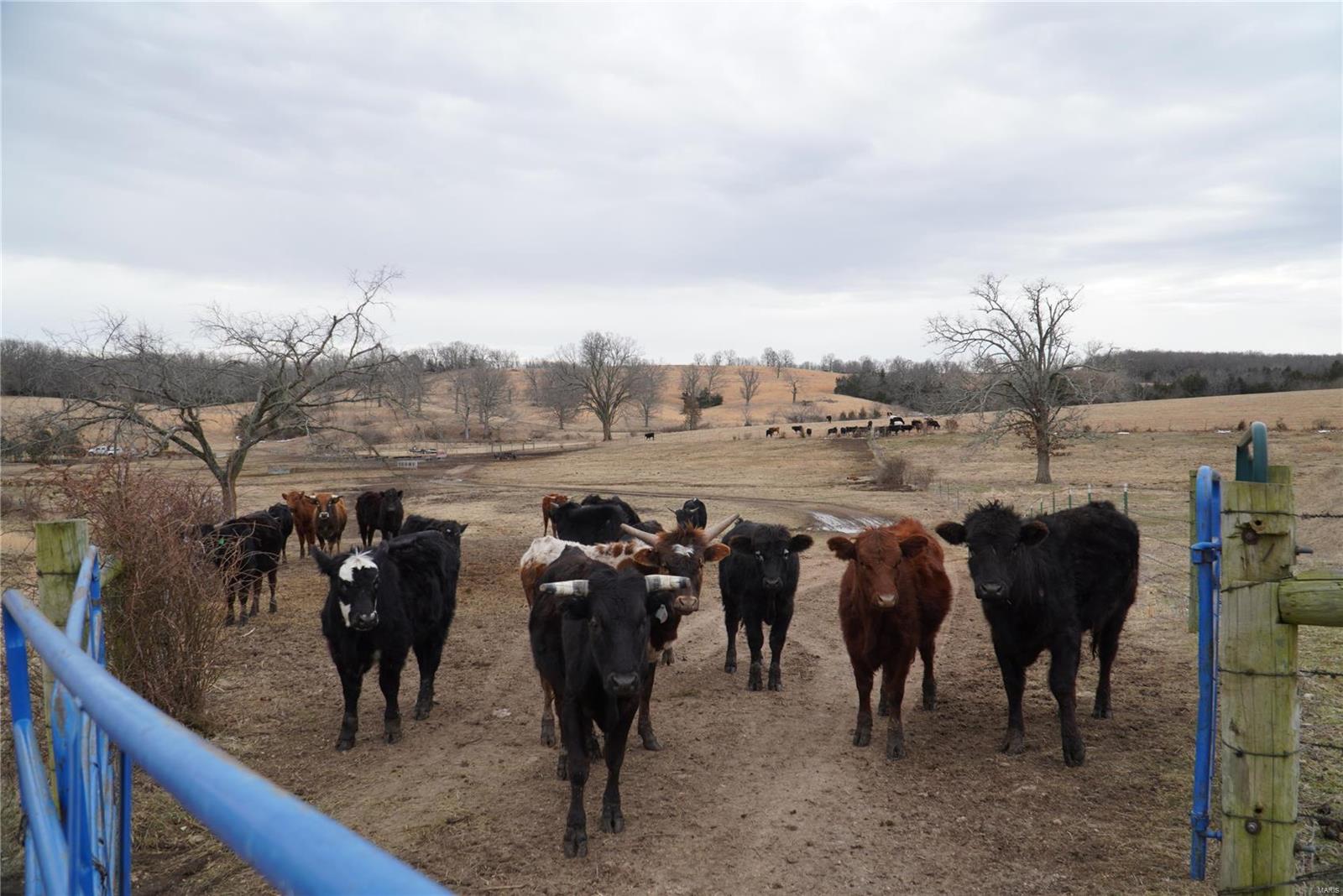 na - Farm