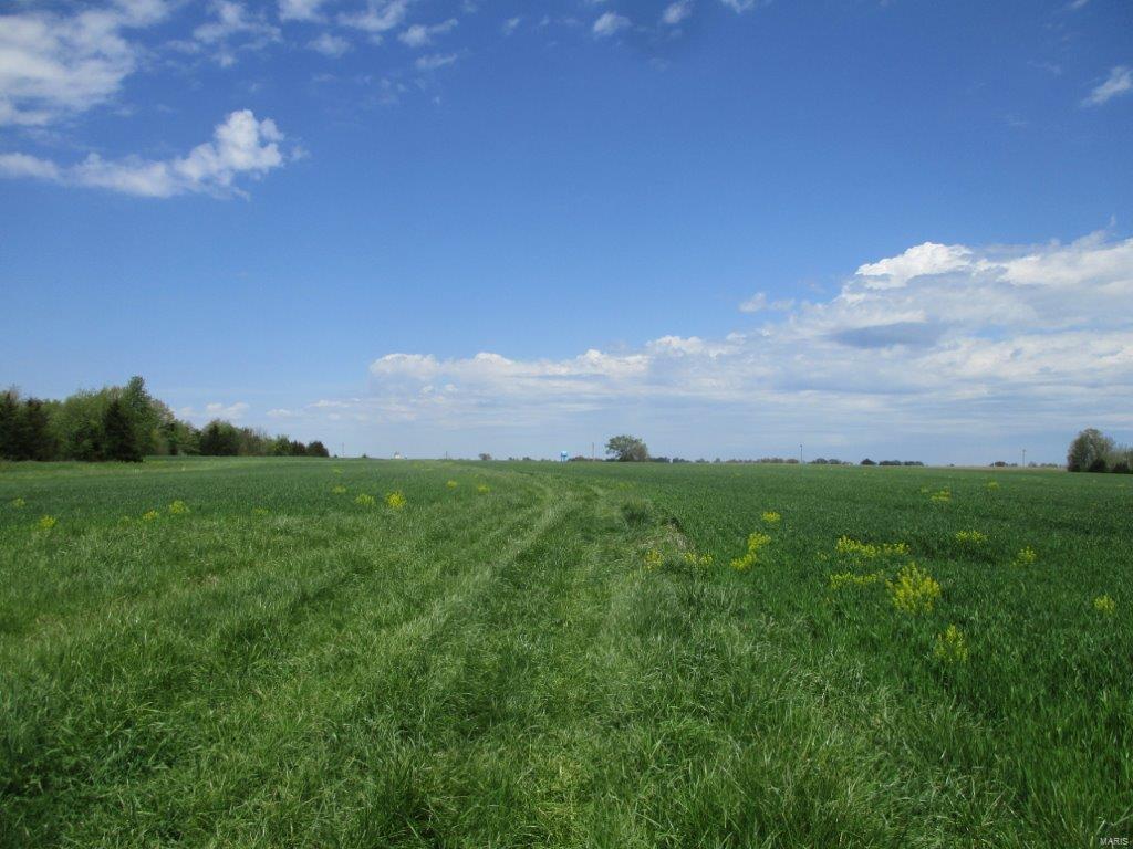None - Farm
