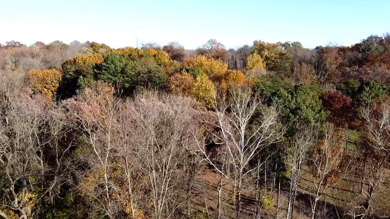 Cheswick Place - Land